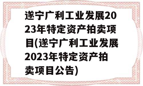 遂宁广利工业发展2023年特定资产拍卖项目(遂宁广利工业发展2023年特定资产拍卖项目公告)