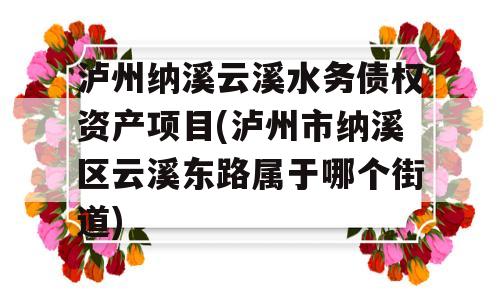 泸州纳溪云溪水务债权资产项目(泸州市纳溪区云溪东路属于哪个街道)