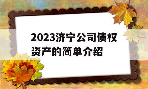 2023济宁公司债权资产的简单介绍