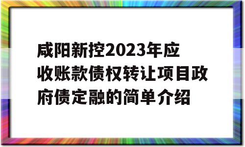 咸阳新控2023年应收账款债权转让项目政府债定融的简单介绍