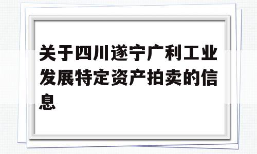 关于四川遂宁广利工业发展特定资产拍卖的信息