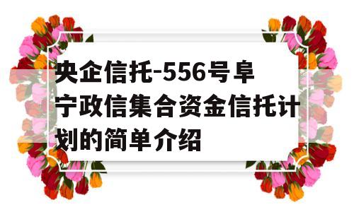 央企信托-556号阜宁政信集合资金信托计划的简单介绍