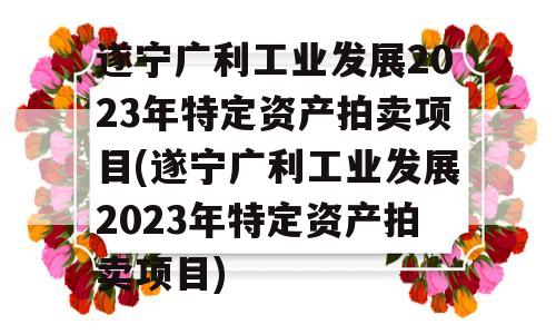 遂宁广利工业发展2023年特定资产拍卖项目(遂宁广利工业发展2023年特定资产拍卖项目)