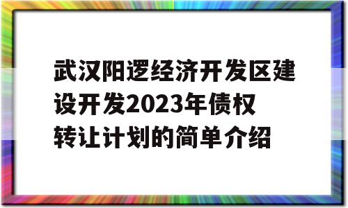 武汉阳逻经济开发区建设开发2023年债权转让计划的简单介绍