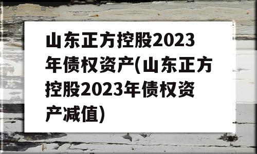 山东正方控股2023年债权资产(山东正方控股2023年债权资产减值)