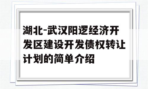 湖北-武汉阳逻经济开发区建设开发债权转让计划的简单介绍