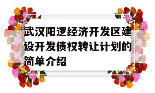 武汉阳逻经济开发区建设开发债权转让计划的简单介绍