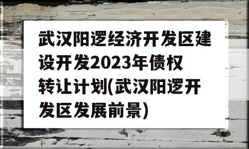 武汉阳逻经济开发区建设开发2023年债权转让计划(武汉阳逻开发区发展前景)