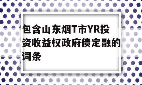 包含山东烟T市YR投资收益权政府债定融的词条