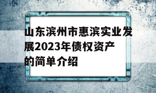 山东滨州市惠滨实业发展2023年债权资产的简单介绍