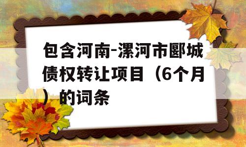 包含河南-漯河市郾城债权转让项目（6个月）的词条