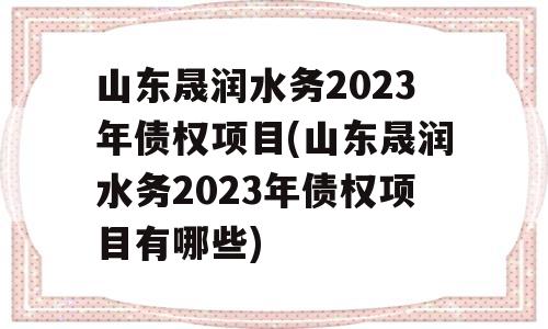 山东晟润水务2023年债权项目(山东晟润水务2023年债权项目有哪些)