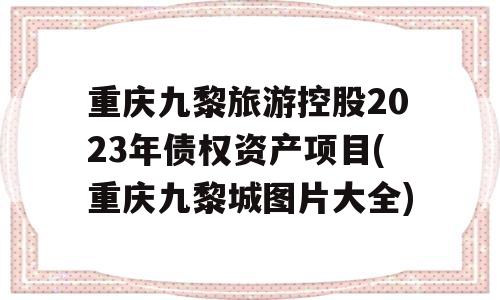 重庆九黎旅游控股2023年债权资产项目(重庆九黎城图片大全)