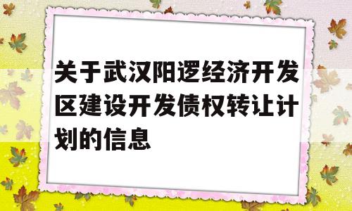 关于武汉阳逻经济开发区建设开发债权转让计划的信息