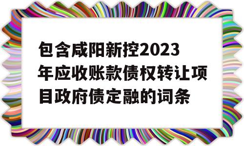 包含咸阳新控2023年应收账款债权转让项目政府债定融的词条