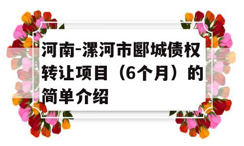 河南-漯河市郾城债权转让项目（6个月）的简单介绍