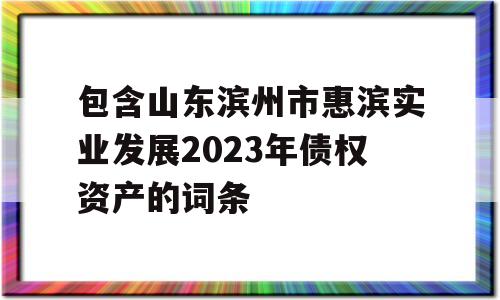 包含山东滨州市惠滨实业发展2023年债权资产的词条