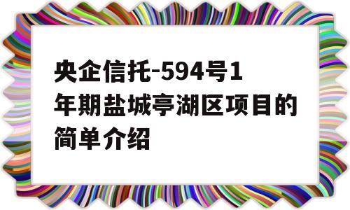 央企信托-594号1年期盐城亭湖区项目的简单介绍