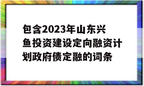 包含2023年山东兴鱼投资建设定向融资计划政府债定融的词条