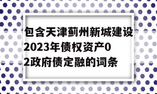 包含天津蓟州新城建设2023年债权资产02政府债定融的词条