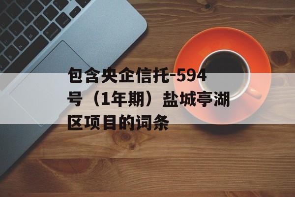 包含央企信托-594号（1年期）盐城亭湖区项目的词条