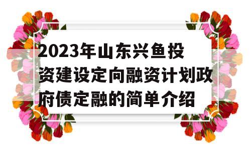 2023年山东兴鱼投资建设定向融资计划政府债定融的简单介绍