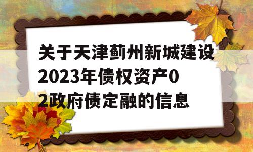 关于天津蓟州新城建设2023年债权资产02政府债定融的信息