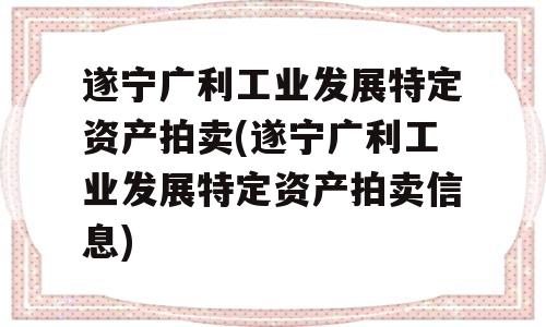 遂宁广利工业发展特定资产拍卖(遂宁广利工业发展特定资产拍卖信息)