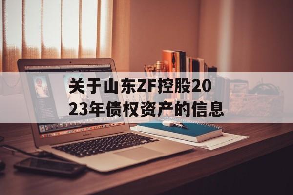 关于山东ZF控股2023年债权资产的信息