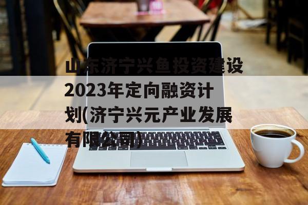 山东济宁兴鱼投资建设2023年定向融资计划(济宁兴元产业发展有限公司)