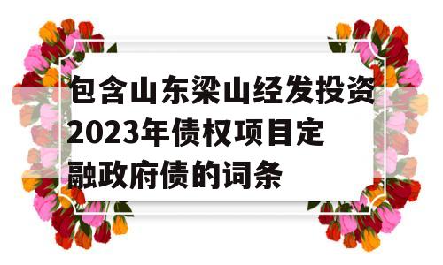 包含山东梁山经发投资2023年债权项目定融政府债的词条