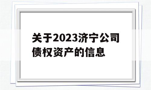 关于2023济宁公司债权资产的信息