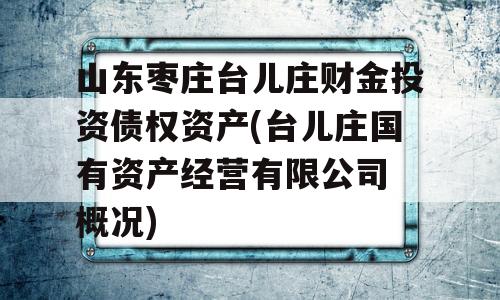 山东枣庄台儿庄财金投资债权资产(台儿庄国有资产经营有限公司 概况)