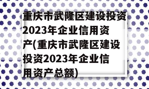 重庆市武隆区建设投资2023年企业信用资产(重庆市武隆区建设投资2023年企业信用资产总额)