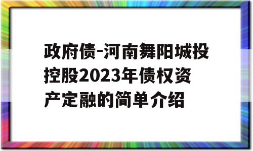 政府债-河南舞阳城投控股2023年债权资产定融的简单介绍