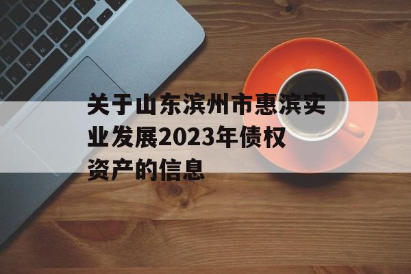 关于山东滨州市惠滨实业发展2023年债权资产的信息