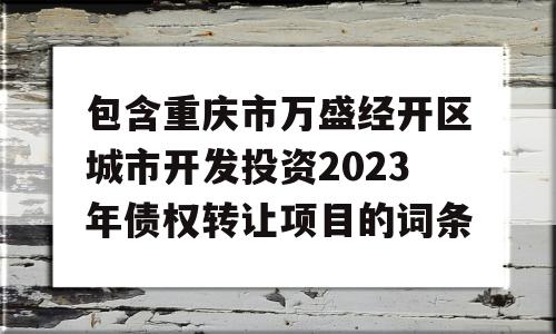 包含重庆市万盛经开区城市开发投资2023年债权转让项目的词条