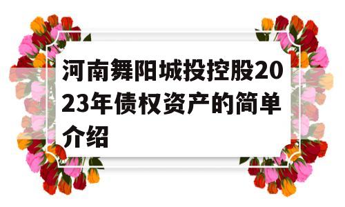 河南舞阳城投控股2023年债权资产的简单介绍