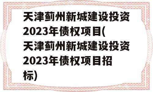 天津蓟州新城建设投资2023年债权项目(天津蓟州新城建设投资2023年债权项目招标)