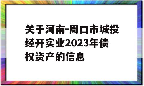 关于河南-周口市城投经开实业2023年债权资产的信息