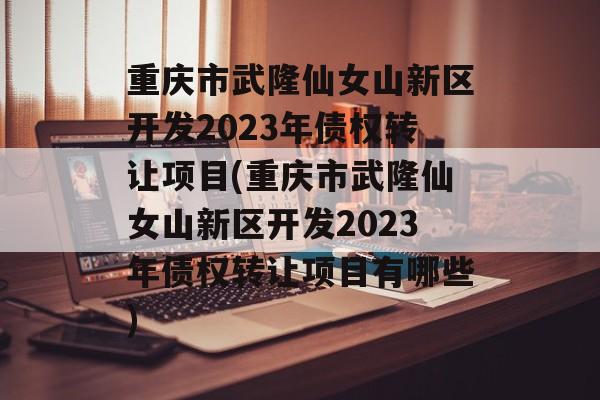 重庆市武隆仙女山新区开发2023年债权转让项目(重庆市武隆仙女山新区开发2023年债权转让项目有哪些)