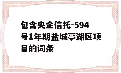 包含央企信托-594号1年期盐城亭湖区项目的词条