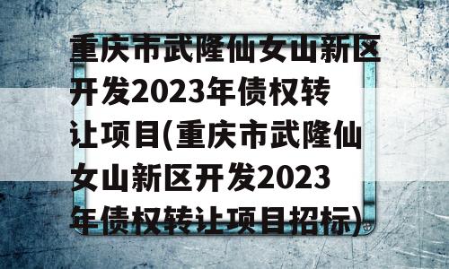 重庆市武隆仙女山新区开发2023年债权转让项目(重庆市武隆仙女山新区开发2023年债权转让项目招标)