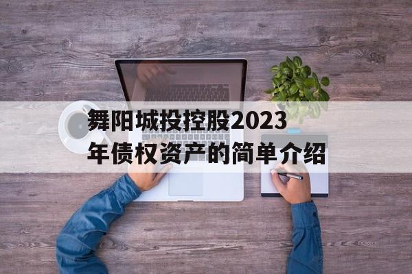 舞阳城投控股2023年债权资产的简单介绍