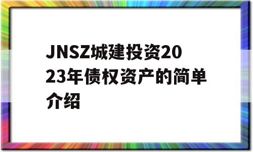 JNSZ城建投资2023年债权资产的简单介绍