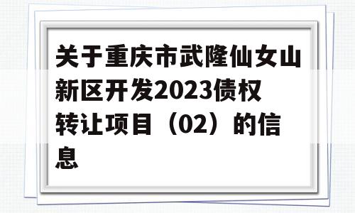 关于重庆市武隆仙女山新区开发2023债权转让项目（02）的信息