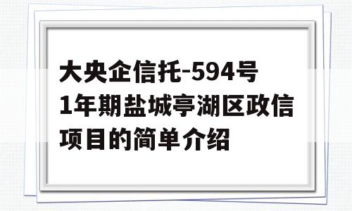 大央企信托-594号1年期盐城亭湖区政信项目的简单介绍