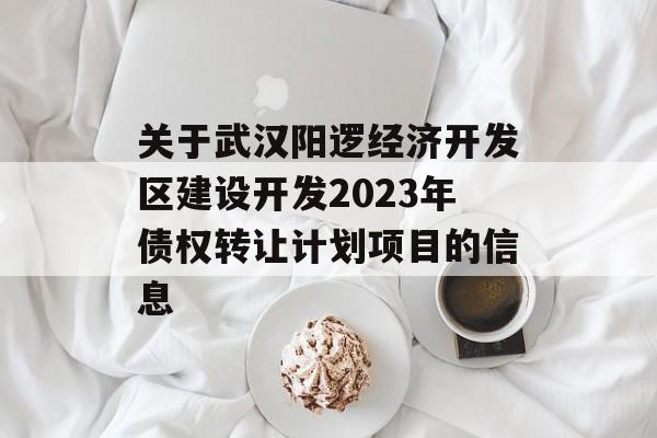 关于武汉阳逻经济开发区建设开发2023年债权转让计划项目的信息