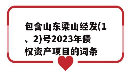 包含山东梁山经发(1、2)号2023年债权资产项目的词条