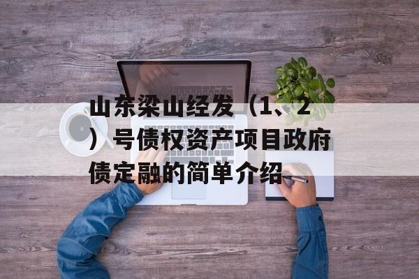 山东梁山经发（1、2）号债权资产项目政府债定融的简单介绍